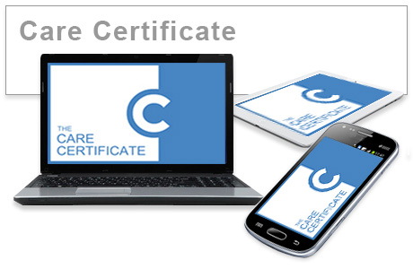 Care Certificate (F) e-learning training course